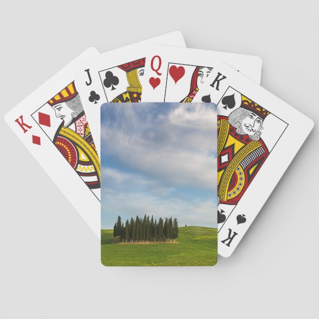 Jeu De Cartes Arbres de Cypress dans le paquet de cartes de (dos)