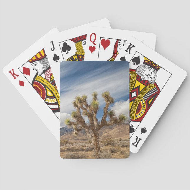 Jeu De Cartes Arbres de Joshua dans le désert (dos)
