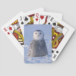 Jeu De Cartes Arctic Snowy Owl Alaska Winter Scene Carte de jeu