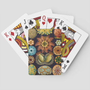 Jeu De Cartes Ascidiae par Ernst Haeckel, Animaux marins Vintage