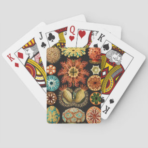 Jeu De Cartes Ascidiae, Seescheiden Marine Life par Ernst Haecke