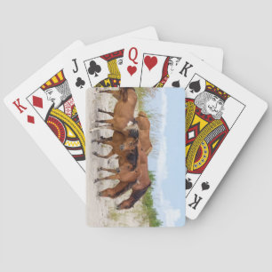 Jeu De Cartes Assateague Island, Maryland
