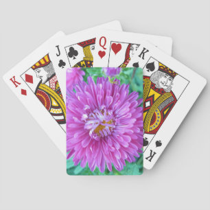 Jeu De Cartes Aster avec araignée de crabe