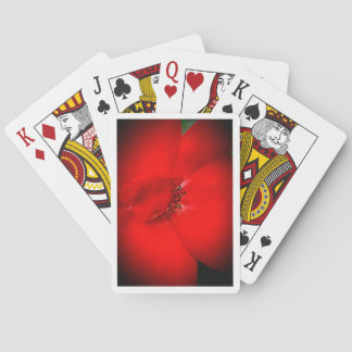 Jeu De Cartes Attention