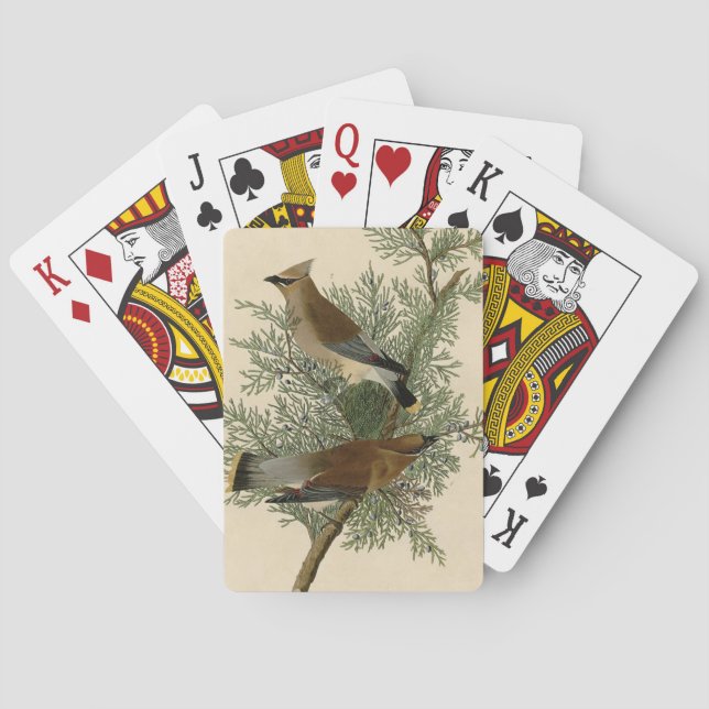 Jeu De Cartes Audubon Cèdre cire oiseau (dos)