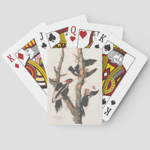 Jeu De Cartes Audubon Ivory-Billed