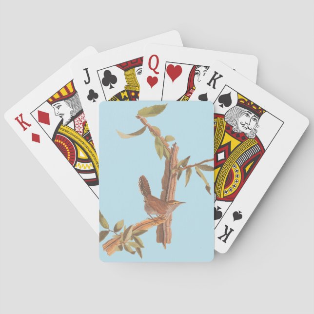 Jeu De Cartes Audubon's Bewick's long Tail Wren Song Bird (dos)
