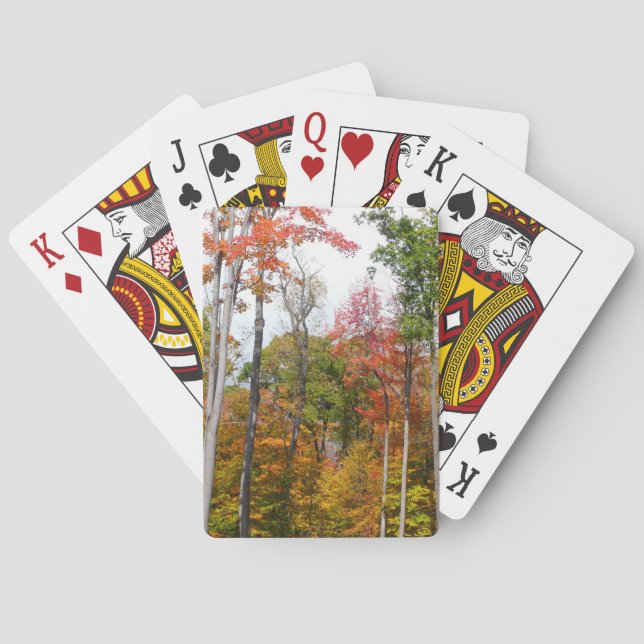 Jeu De Cartes Automne dans la forêt Colorée Photographie d'autom (dos)
