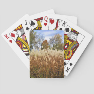 Jeu De Cartes Automne dans le Wisconsin