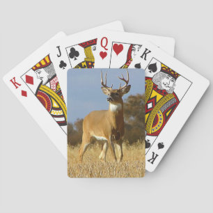 Jeu De Cartes Automne Whitetail Buck