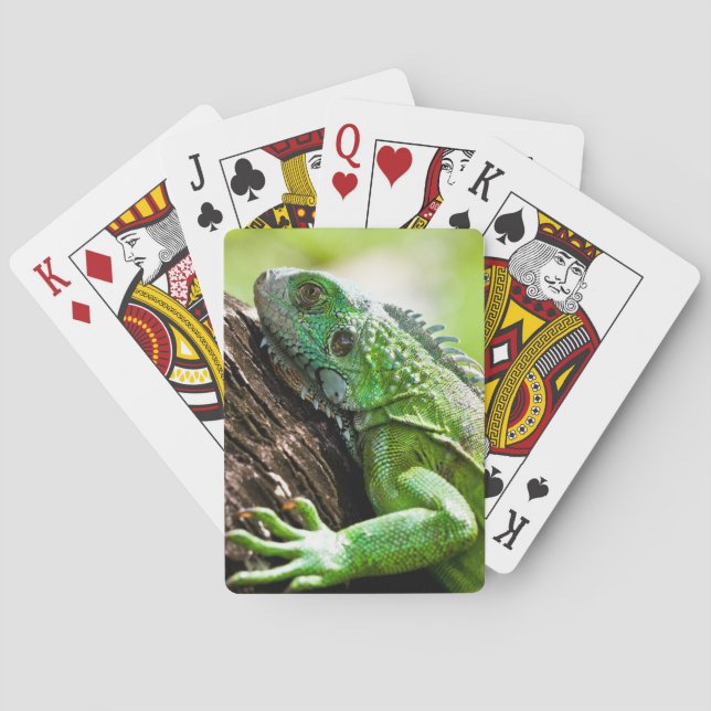 Jeu De Cartes autre jour vert (dos)