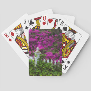 Jeu De Cartes Azalées au printemps à Historic Isle of Hope