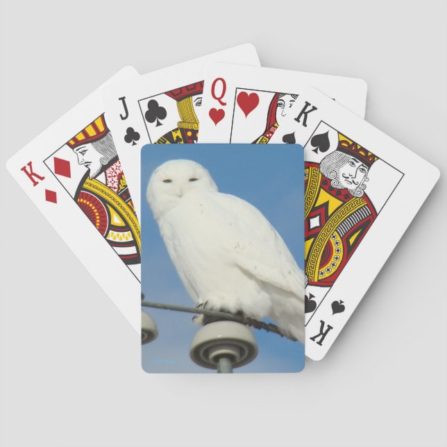 Jeu De Cartes B50 Snowy (dos)