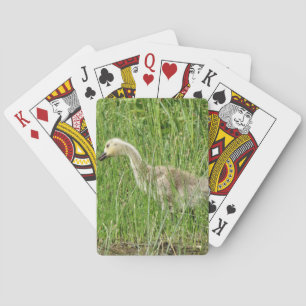 Jeu De Cartes B58 Oison de Bernache du Canada dans l'Herbe
