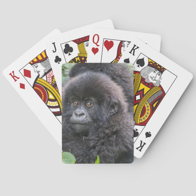 Jeu De Cartes Baby Mountain Gorilla (dos)