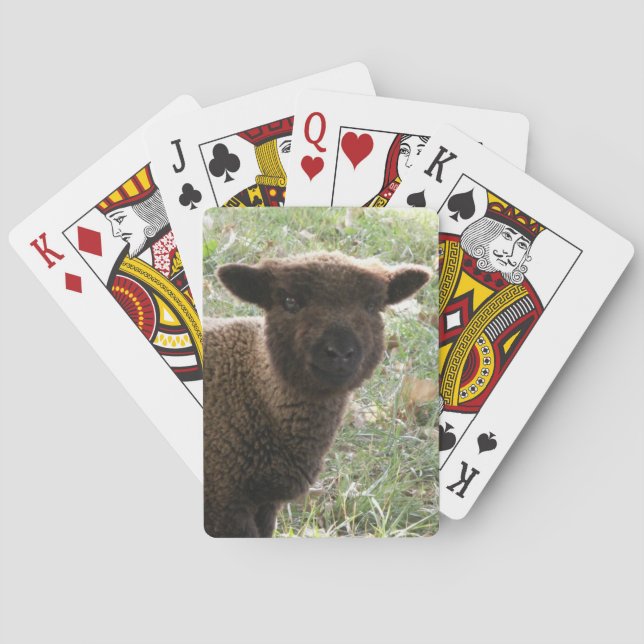 Jeu De Cartes Babydoll Agneau Southdown (dos)