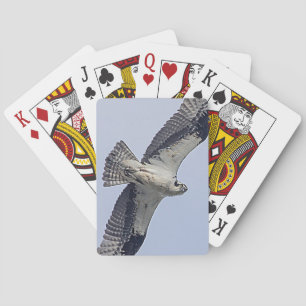 Jeu De Cartes Baleine en vol