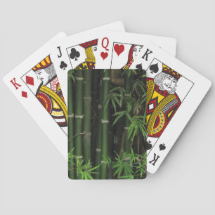 Jeu De Cartes Bambou... Fao Rai, Nong Khai, Isaan, Thaïlande