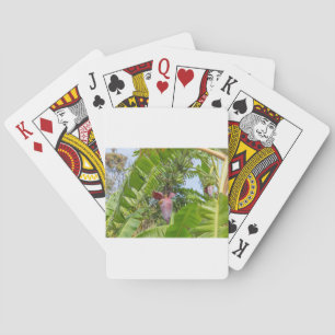 Jeu De Cartes Bananeraie à Sok Kwu Wan Lamma Island