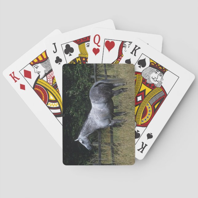 Jeu De Cartes Barrière se tenante prêt de cheval de pur sang (dos)
