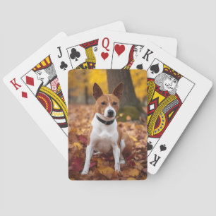 Jeu De Cartes Basenji en automne Feuilles automne Inspiration
