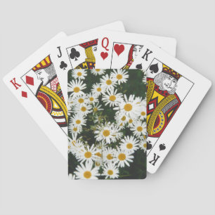 Jeu De Cartes Basière à oeil blanc, prairie à marguerite de la l
