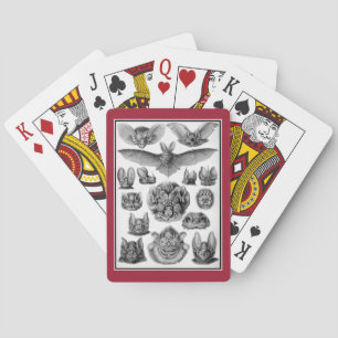 Jeu De Cartes Bats !