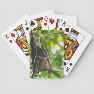 Jeu De Cartes Batte