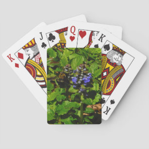 Jeu De Cartes Baume d'abeille pourpre et bourdon
