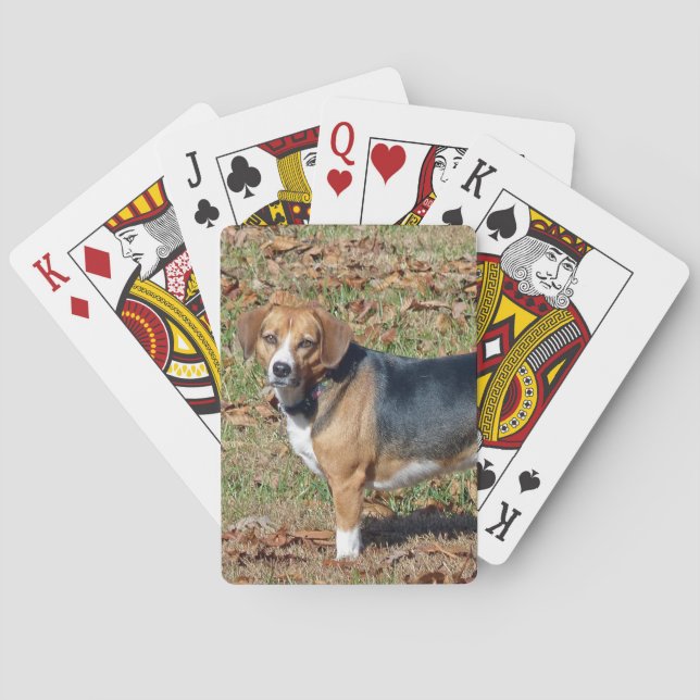 Jeu De Cartes Beagle (dos)