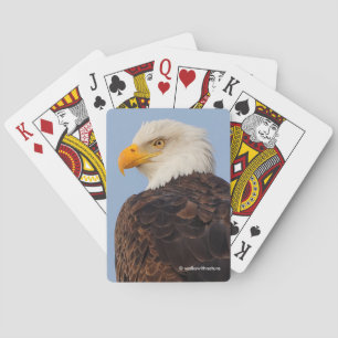 Jeu De Cartes Beau aigle à tête blanche dans un arbre