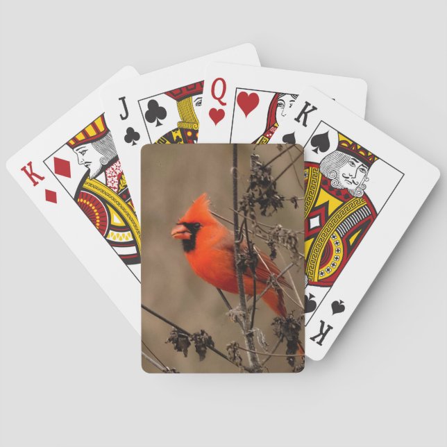 Jeu De Cartes Beau Cardinal du Nord Personnel (dos)