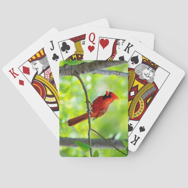 Jeu De Cartes Beau cardinal rouge vif dans un arbre (dos)