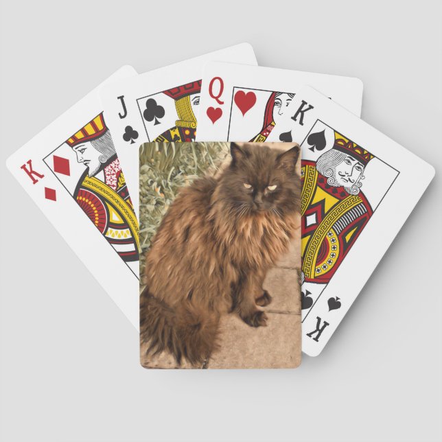 Jeu De Cartes Beau chat (dos)