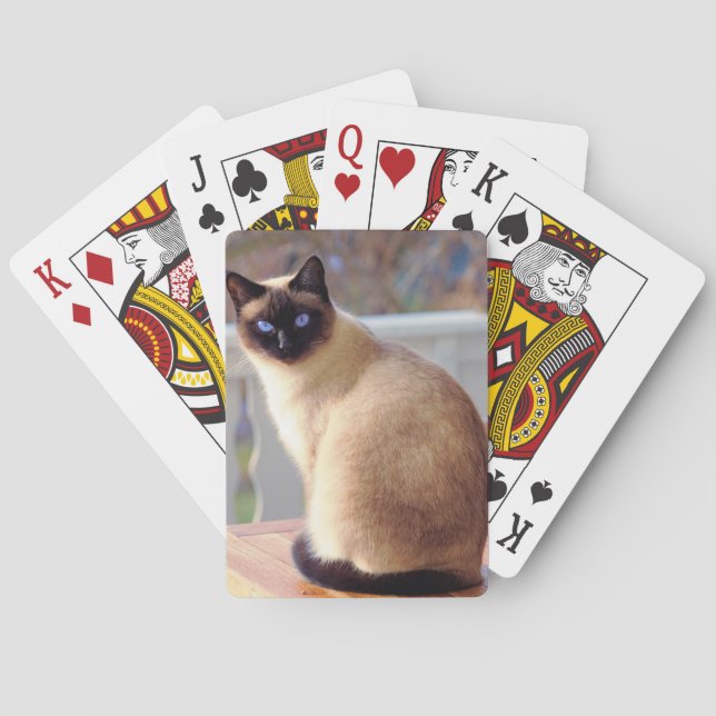 Jeu De Cartes Beau chat siamois aux yeux bleus (dos)