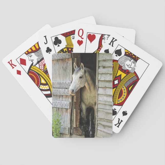 Jeu De Cartes Beau cheval Rustique ferme scène (dos)