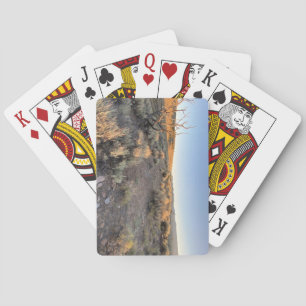 Jeu De Cartes Beau désert du Nevada