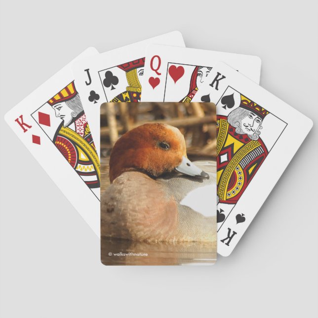 Jeu De Cartes Beau étranger en ville Eurasian Wigeon Duck (dos)