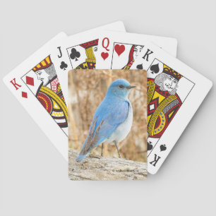 Jeu De Cartes Beau oiseau bleu de montagne à la plage
