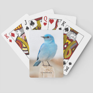 Jeu De Cartes Beau oiseau bleu de montagne sur la plage