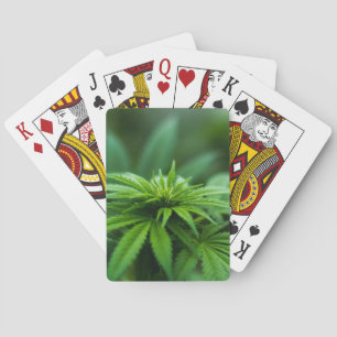 Jeu De Cartes Beau Plante de mauvaises herbes
