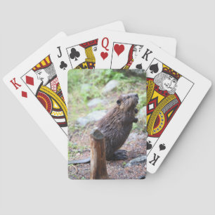 Jeu De Cartes Beaver