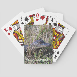 Jeu De Cartes Bébé Alligator dans la Photographie de Marais Pers