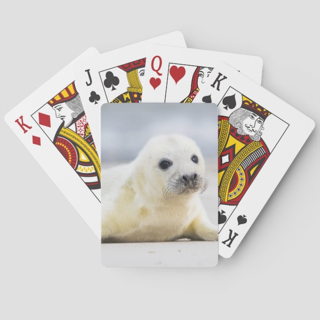 Jeu De Cartes Bébé phoque des images | de Getty (dos)