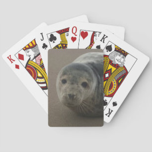 Jeu De Cartes Bébé phoque gris mignon