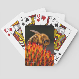 Jeu De Cartes Belle abeille de miel pollinisant un confleur