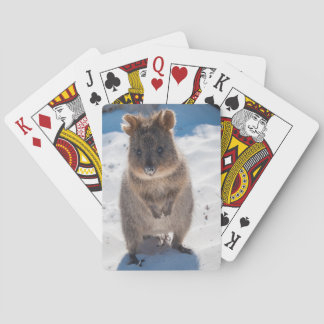 Jeu De Cartes Belle et heureuse quokka sur la plage en Australie