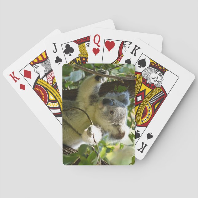 Jeu De Cartes Belle ours de Koala dans les arbres (dos)