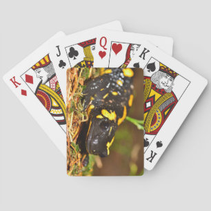 Jeu De Cartes Belle salamandre de feu