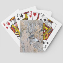 Belles cartes de jeu de mâle du Colorado